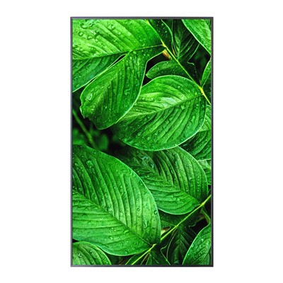 43ইঞ্চি 4K UHD আল্ট্রা-থিন LCD ডিসপ্লে স্ক্রীন সাইনেজ ডিজিটাল কাস্টম উপলব্ধ